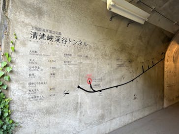 清津峡渓谷トンネルに投稿された画像（2024/10/22）