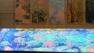 モネ 睡蓮のとき（国立西洋美術館）に投稿された画像（2024/10/22）