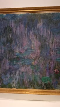 モネ 睡蓮のとき（国立西洋美術館）に投稿された画像（2024/10/22）