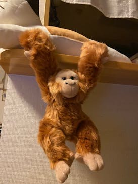 名古屋市東山動植物園に投稿された画像（2024/10/22）