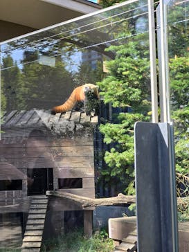 恩賜上野動物園に投稿された画像（2024/10/22）