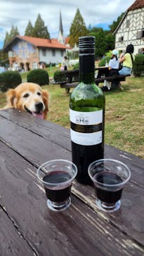 野外民族博物館 リトルワールドに投稿された画像（2024/10/22）