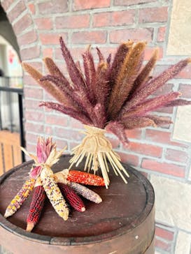 安城産業文化公園デンパークに投稿された画像（2024/10/22）