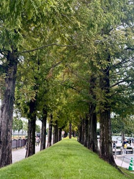 安城産業文化公園デンパークに投稿された画像（2024/10/22）