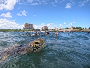 オースリーシュノーケル宮古島に投稿された画像（2024/10/22）