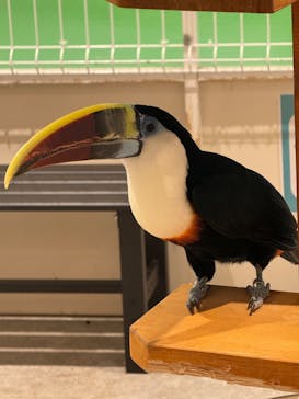 アニタッチ 東京ドームシティに投稿された画像（2024/10/22）