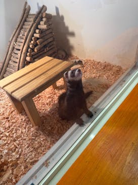 アニタッチ 東京ドームシティに投稿された画像（2024/10/22）