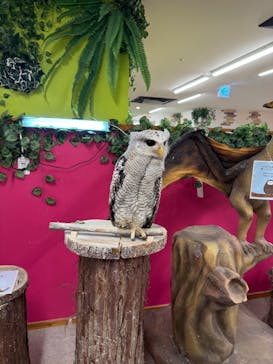 アニタッチ 東京ドームシティに投稿された画像（2024/10/22）