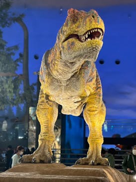 福井県立恐竜博物館に投稿された画像（2024/10/22）