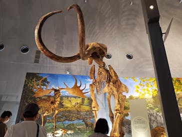 福井県立恐竜博物館に投稿された画像（2024/10/22）