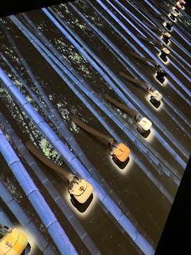 GUCCI COSMOSに投稿された画像（2024/10/22）