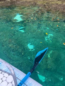 VITAmarinefitnessに投稿された画像（2024/10/22）