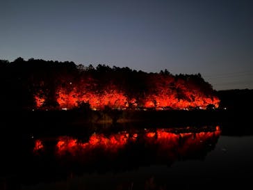 ムーミンバレーパークに投稿された画像（2024/10/22）