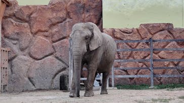 東武動物公園に投稿された画像（2024/10/22）