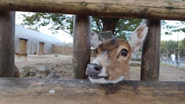 東武動物公園に投稿された画像（2024/10/22）