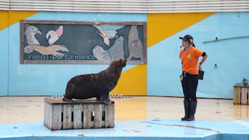東武動物公園に投稿された画像（2024/10/22）