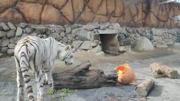東武動物公園に投稿された画像（2024/10/22）