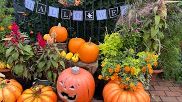 横浜イングリッシュガーデンに投稿された画像（2024/10/22）