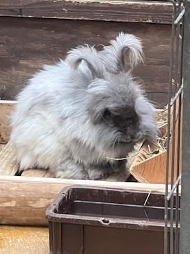 神戸どうぶつ王国に投稿された画像（2024/10/22）