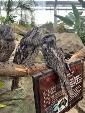 神戸どうぶつ王国に投稿された画像（2024/10/22）