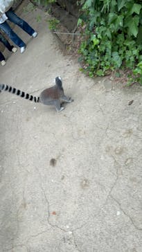 神戸どうぶつ王国に投稿された画像（2024/10/22）