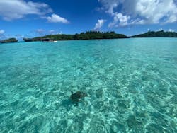 SUPよろんに投稿された画像（2024/10/22）