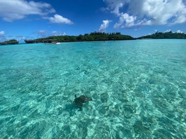 SUPよろんに投稿された画像（2024/10/22）