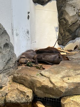 NIFREL（ニフレル）に投稿された画像（2024/10/22）