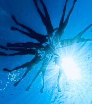 西表島 ADVENTURE PiPi（アドベンチャーピピ）に投稿された画像（2024/10/22）