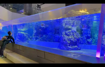 すみだ水族館に投稿された画像（2024/10/22）