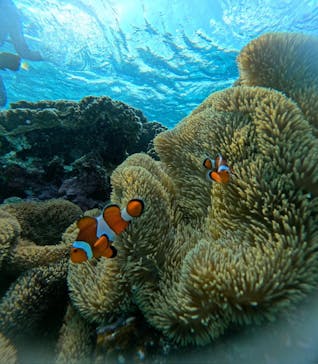 nico 宮古島に投稿された画像（2024/10/22）