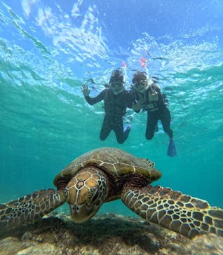 nico 宮古島に投稿された画像（2024/10/22）