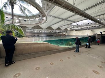 鴨川シーワールドに投稿された画像（2024/10/22）