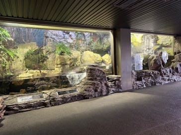 鴨川シーワールドに投稿された画像（2024/10/22）