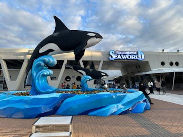 鴨川シーワールドに投稿された画像（2024/10/22）