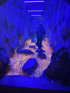 那須ハイランドパークに投稿された画像（2024/10/22）