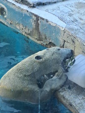天王寺動物園に投稿された画像（2024/10/22）