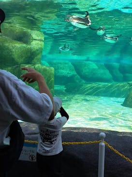 天王寺動物園に投稿された画像（2024/10/22）