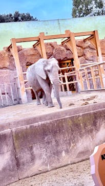 東武動物公園に投稿された画像（2024/10/22）