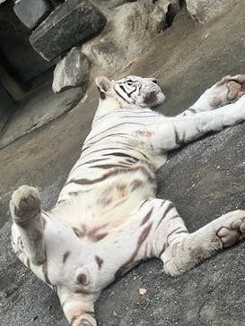 東武動物公園に投稿された画像（2024/10/22）