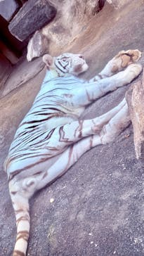 東武動物公園に投稿された画像（2024/10/22）