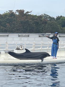 京都水族館に投稿された画像（2024/10/22）