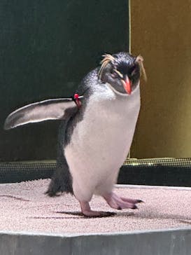 AOAO SAPPOROに投稿された画像（2024/10/23）