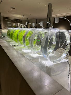 AOAO SAPPOROに投稿された画像（2024/10/23）