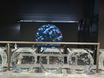 AOAO SAPPOROに投稿された画像（2024/10/23）