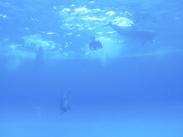 アソビュー！ポイントに投稿された画像（2024/10/23）