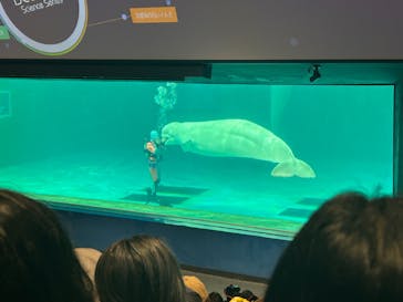 鴨川シーワールドに投稿された画像（2024/10/23）