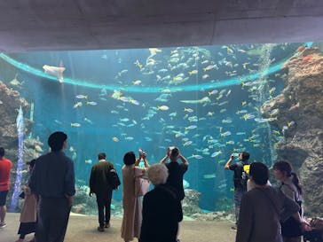 鴨川シーワールドに投稿された画像（2024/10/23）