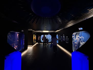 鴨川シーワールドに投稿された画像（2024/10/23）