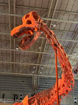 巨大恐竜展2024に投稿された画像（2024/10/23）